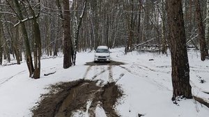 #FotonSauvana#ФотонСаванна# Тут УАЗик сидел, Ниву тянули аж синтетику трос на лебедке порвали-((